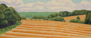 field, tree, cornfield, Mametz, France
