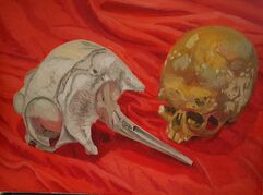 Porpoise and Human Skull